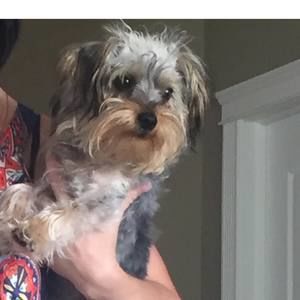 Meet your Posher, Jocelyn